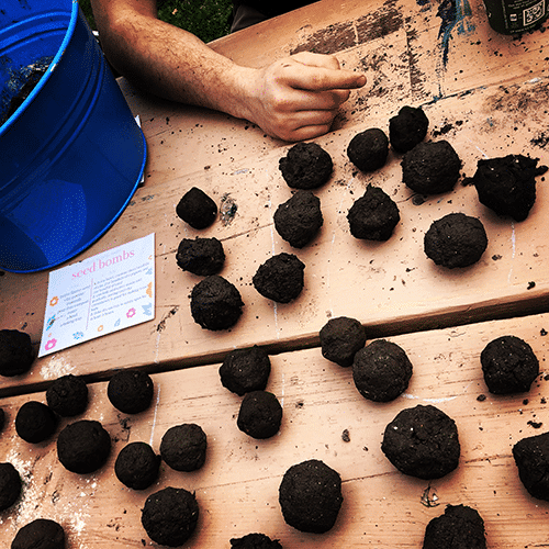 Seed bombs