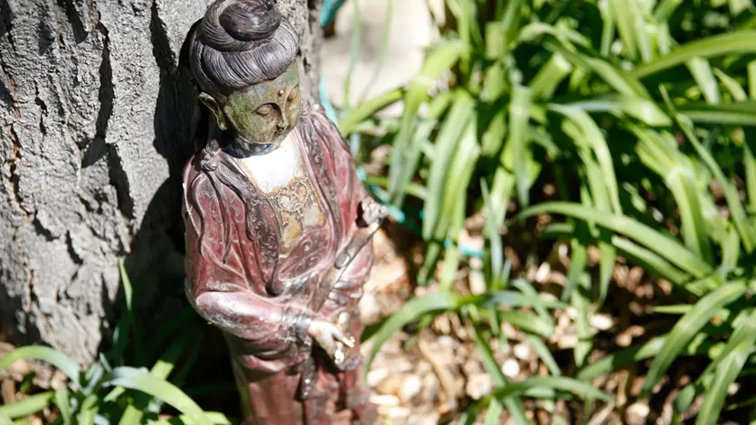 Small statue of sitting Buddha placed against a tree trunk. There are some plants with long thin leaves to the right.