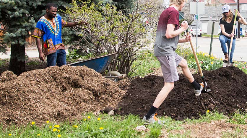 Naropa alumni working on gardening tasks. Two people are using shovels while a third person stands next to a wheelbarrow. They are outside. Grass, soil, wildflowers and a bush are visible. Behind them there's a street and a parked car.
