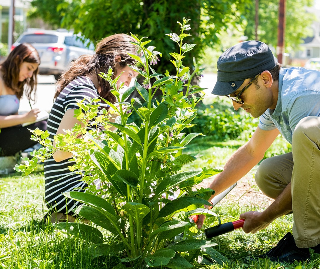 Naropa students doing gardening tasks and studying on University grounds.