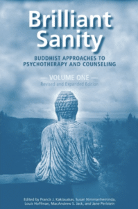Brilliant Sanity Book Cover