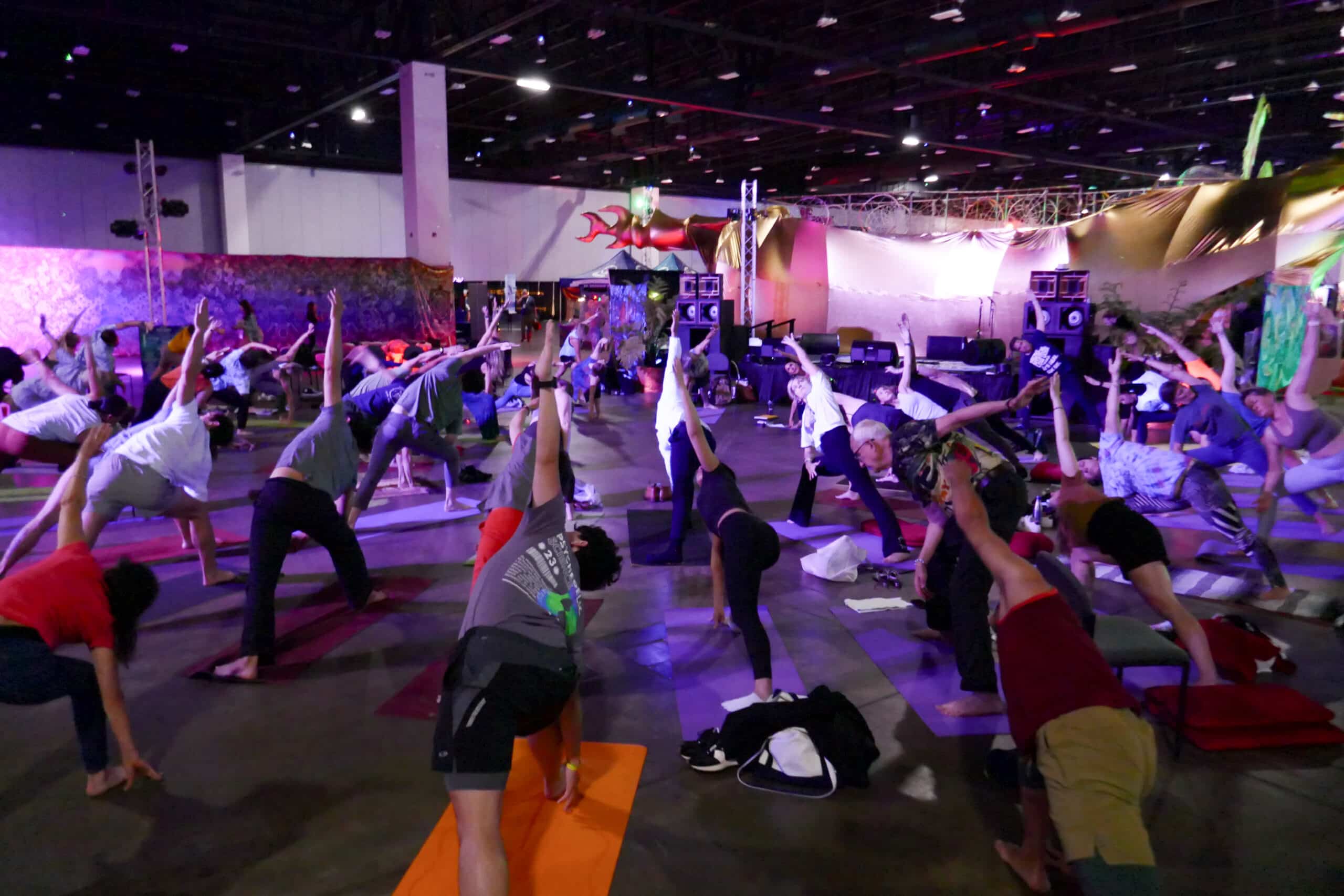 Yoga at Psychedelic Conference