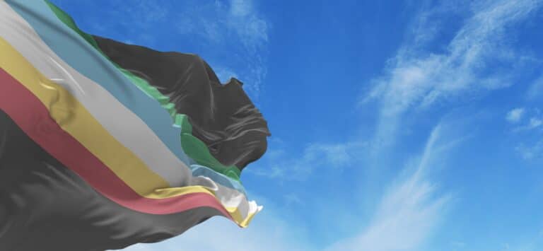 official flag of Visually Safe Disability Pride at cloudy sky background on sunset, panoramic view. copy space for wide banner. 3d illustration