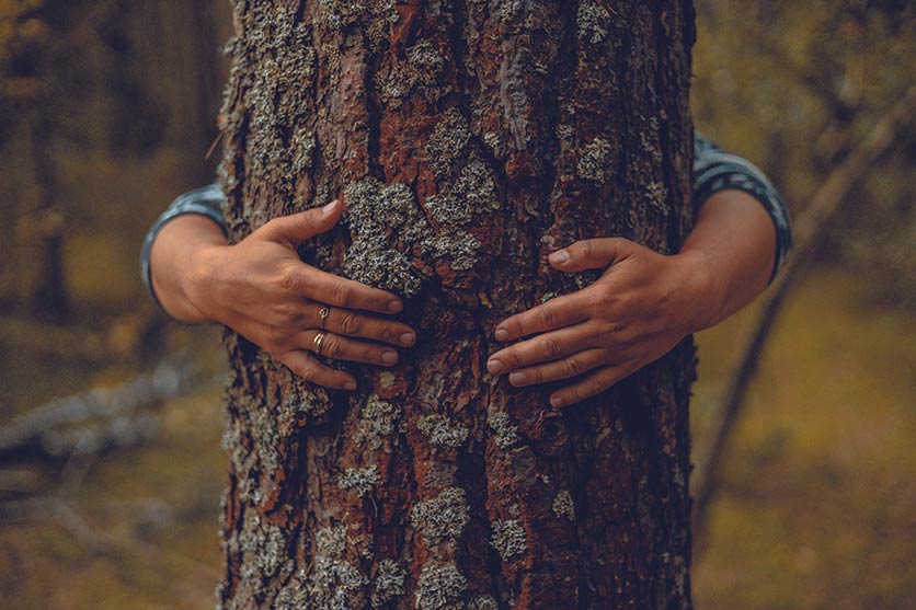 Arms wrapped around a tree trunk.