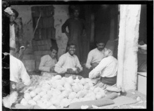 Jaffa farmers