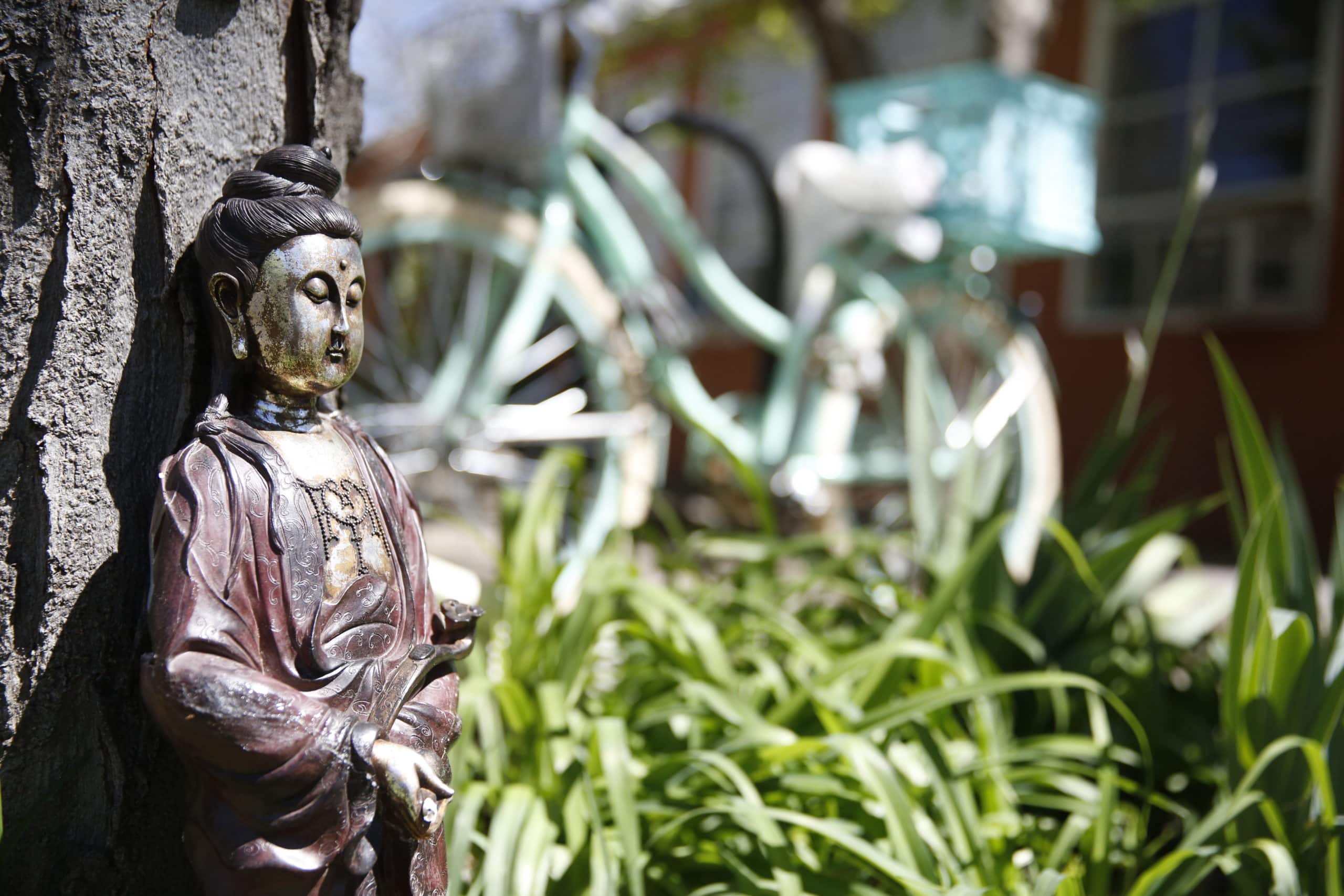 Outdoor Buddha statue in a peaceful campus garden setting.