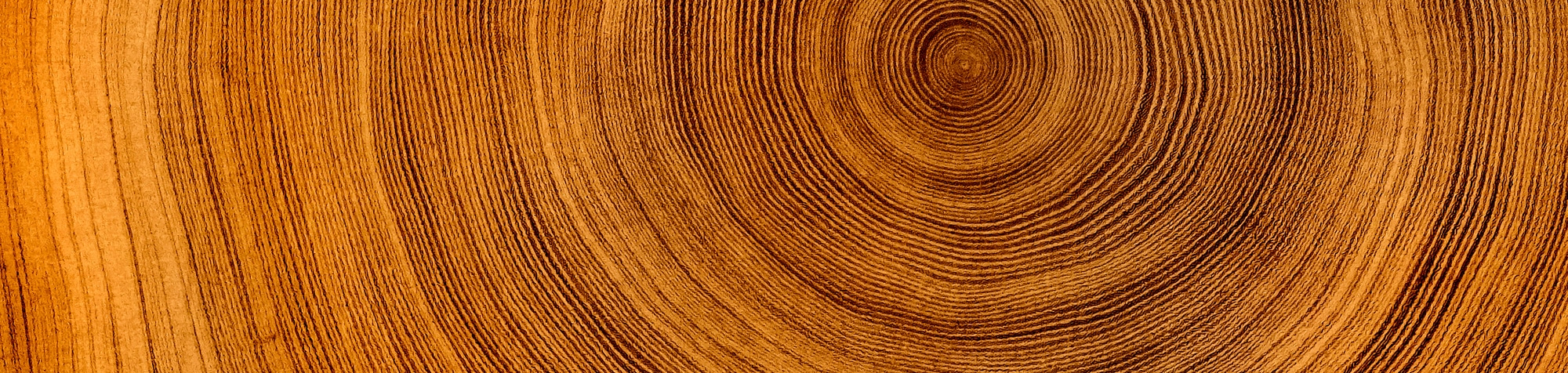 Close-up of natural wood grain rings forming a textured, concentric pattern.