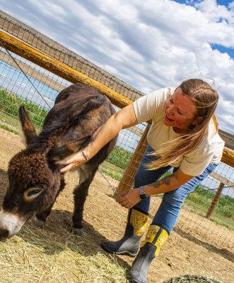 Lanette petting her donkey Leo in a penned area